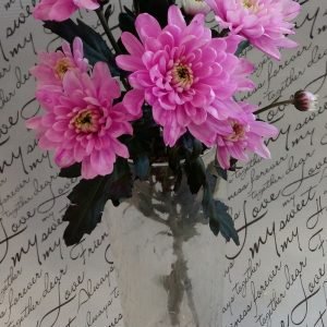 Хризантема веточная "Зембла" розовая